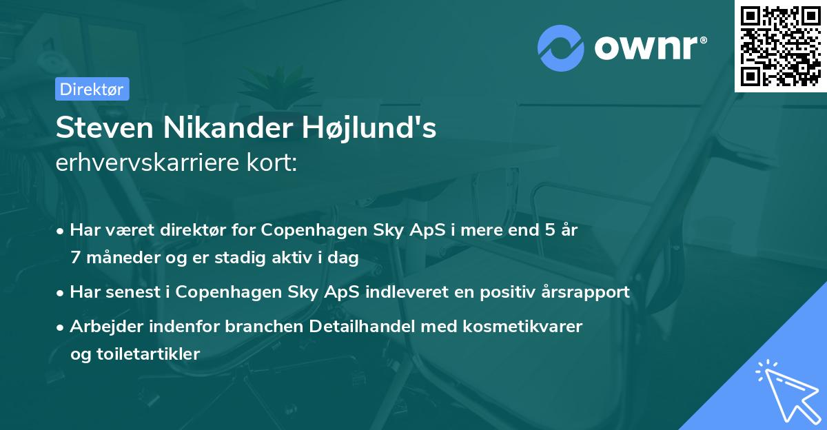 Steven Nikander Højlund's erhvervskarriere kort