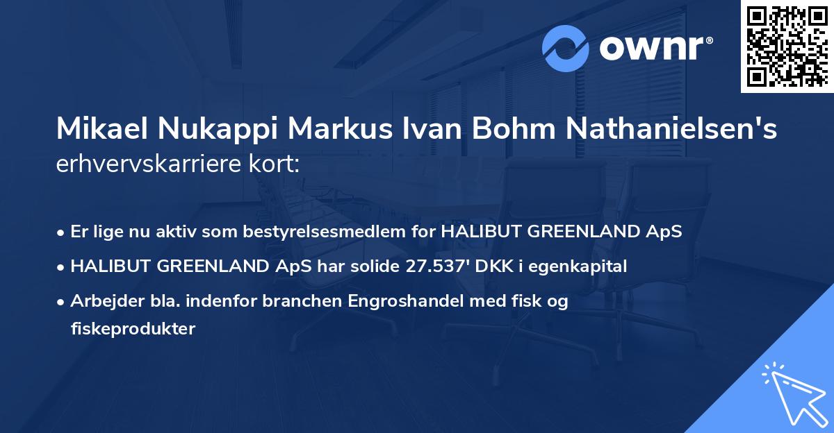 Mikael Nukappi Markus Ivan Bohm Nathanielsen's erhvervskarriere kort