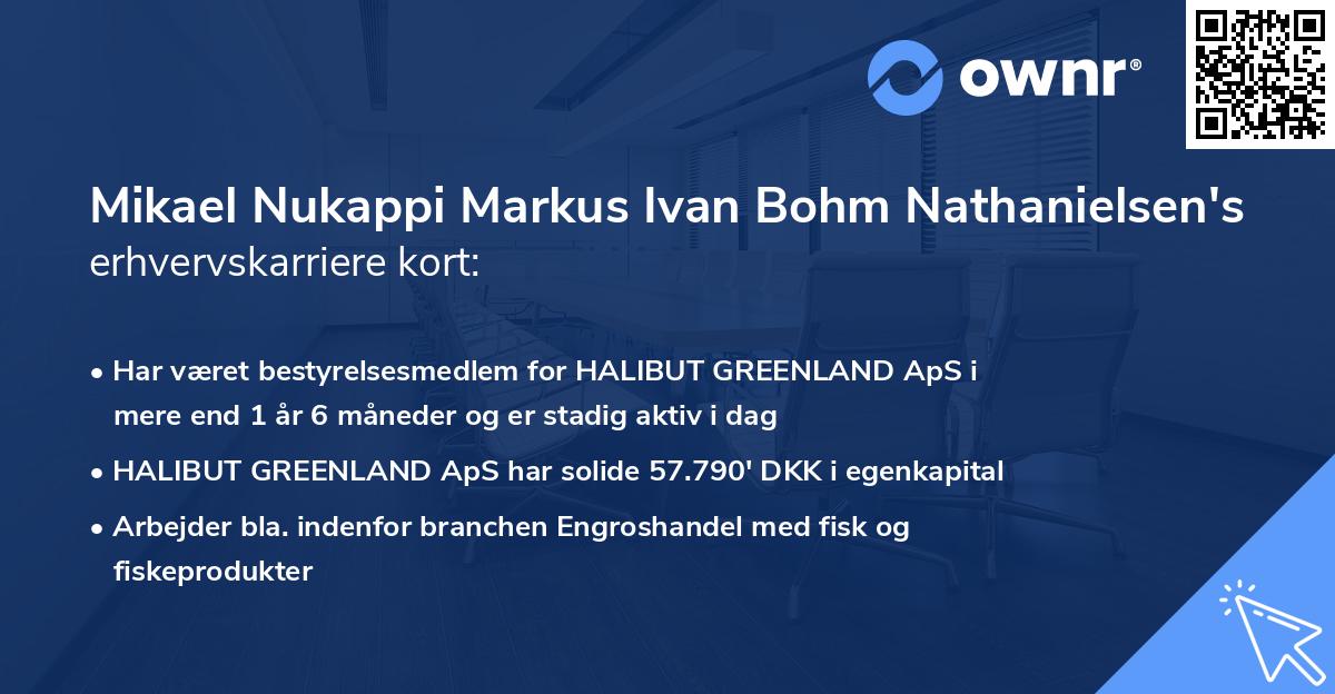 Mikael Nukappi Markus Ivan Bohm Nathanielsen's erhvervskarriere kort