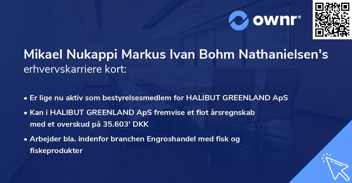 Mikael Nukappi Markus Ivan Bohm Nathanielsen's erhvervskarriere kort