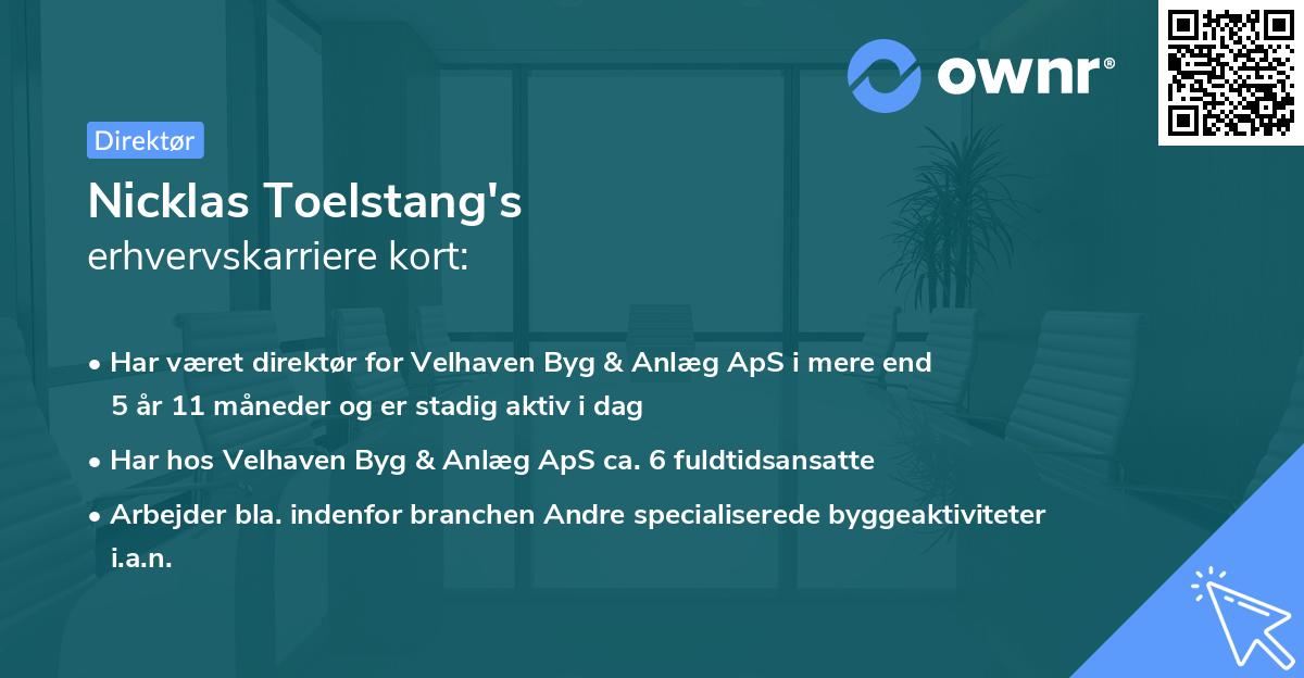 Nicklas Toelstang's erhvervskarriere kort