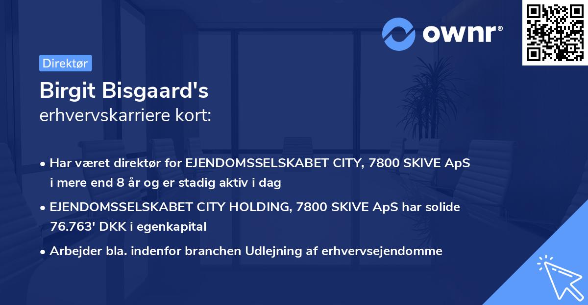 Birgit Bisgaard's erhvervskarriere kort