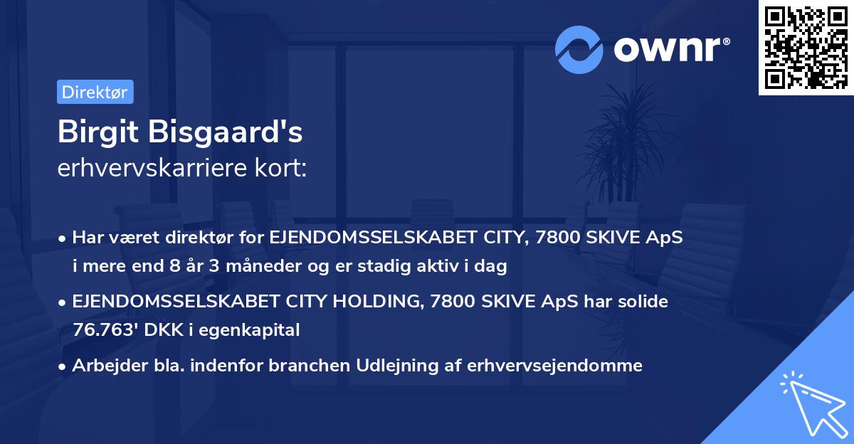 Birgit Bisgaard's erhvervskarriere kort