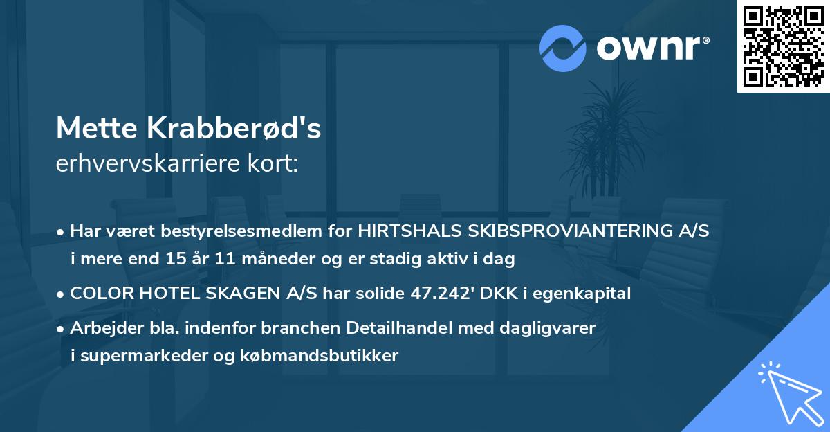 Mette Krabberød's erhvervskarriere kort