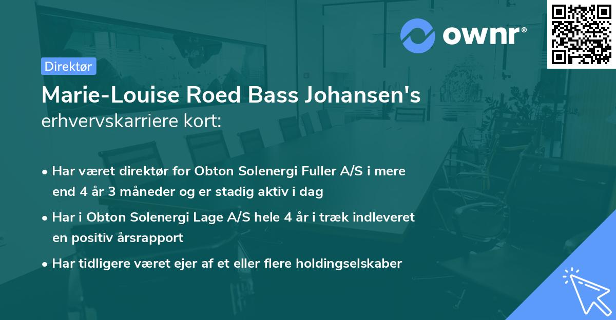 Marie-Louise Roed Bass Johansen's erhvervskarriere kort
