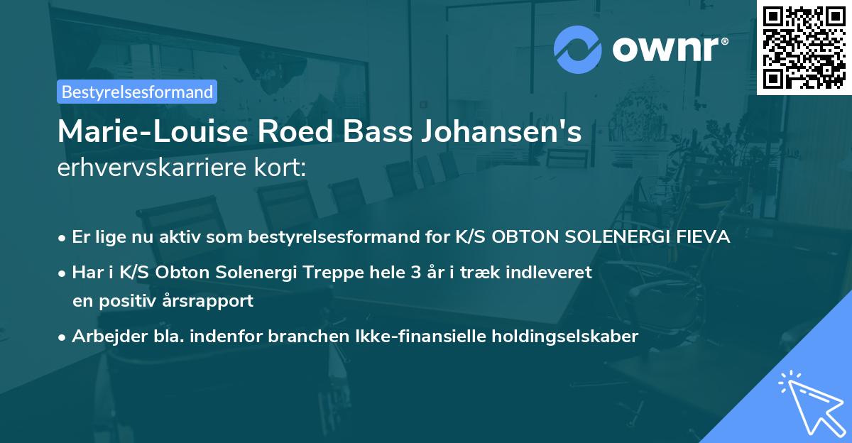 Marie-Louise Roed Bass Johansen's erhvervskarriere kort