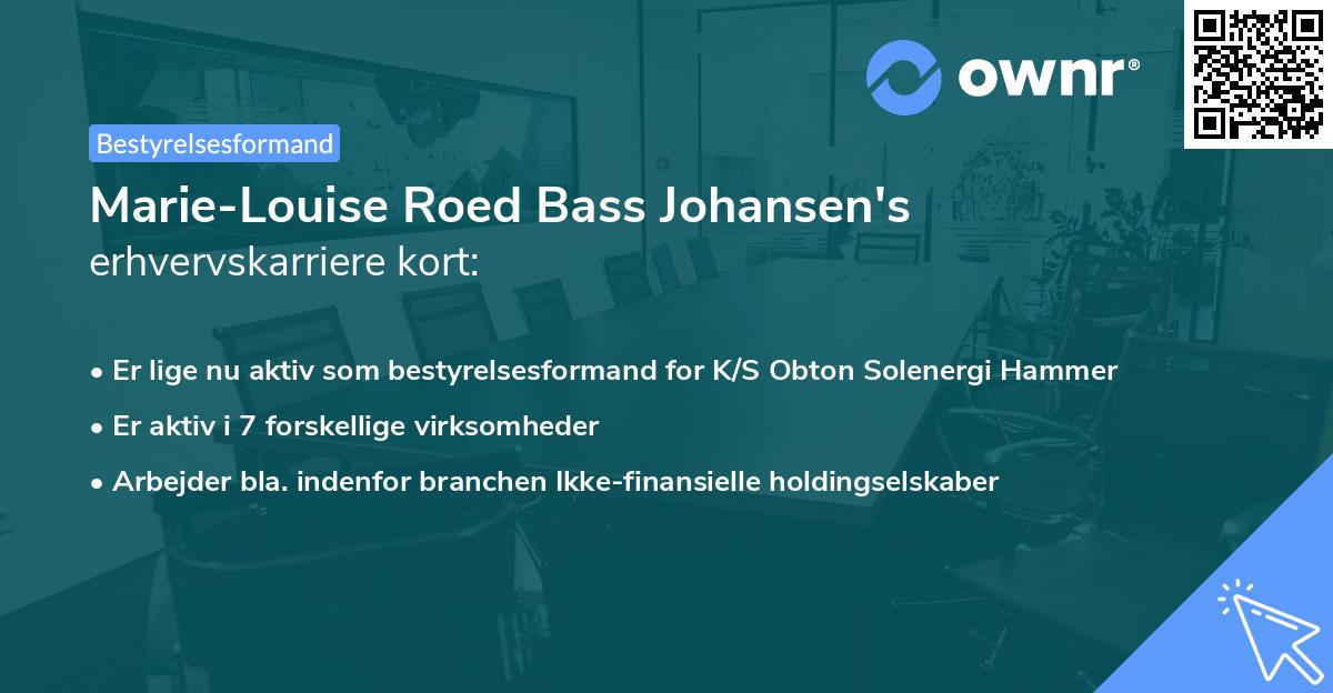 Marie-Louise Roed Bass Johansen's erhvervskarriere kort