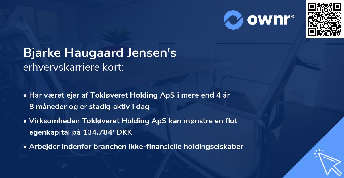 Bjarke Haugaard Jensen's erhvervskarriere kort