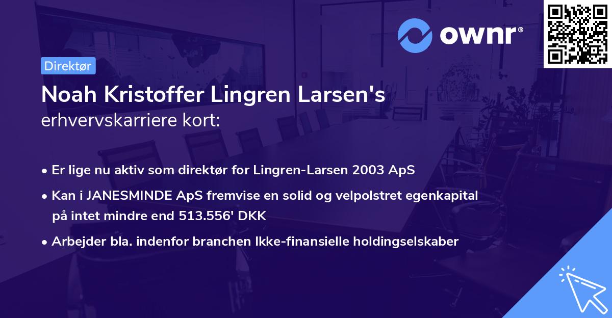 Noah Kristoffer Lingren Larsen's erhvervskarriere kort