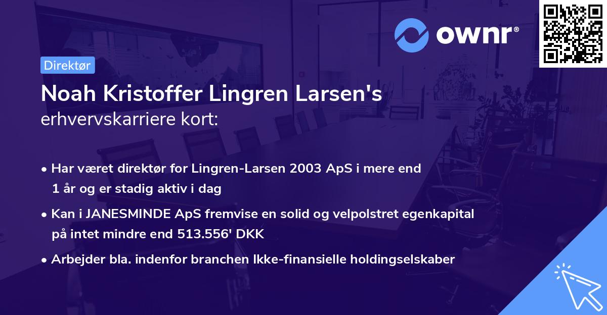 Noah Kristoffer Lingren Larsen's erhvervskarriere kort