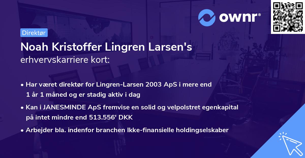 Noah Kristoffer Lingren Larsen's erhvervskarriere kort