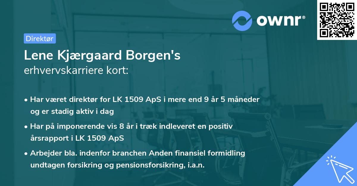 Lene Kjærgaard Borgen's erhvervskarriere kort