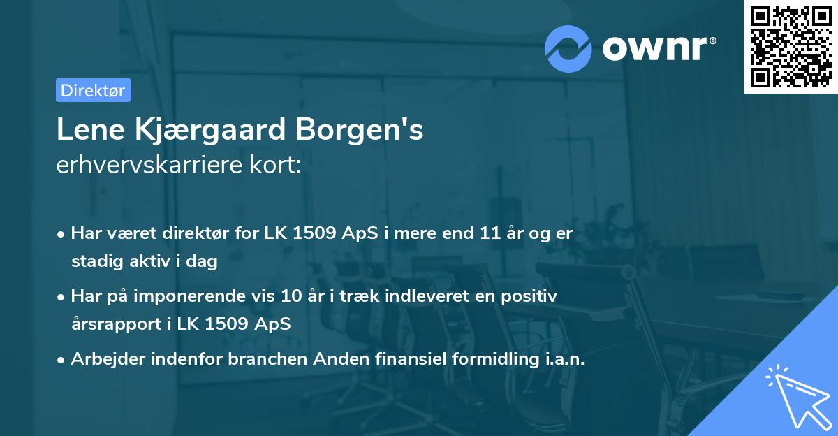 Lene Kjærgaard Borgen's erhvervskarriere kort