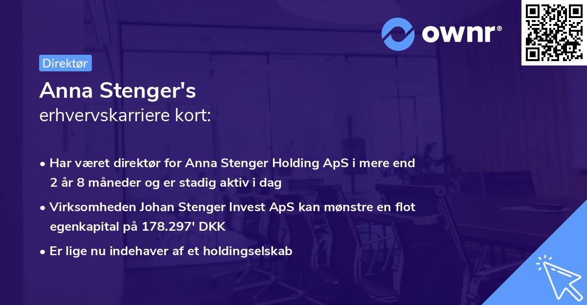 Anna Stenger's erhvervskarriere kort