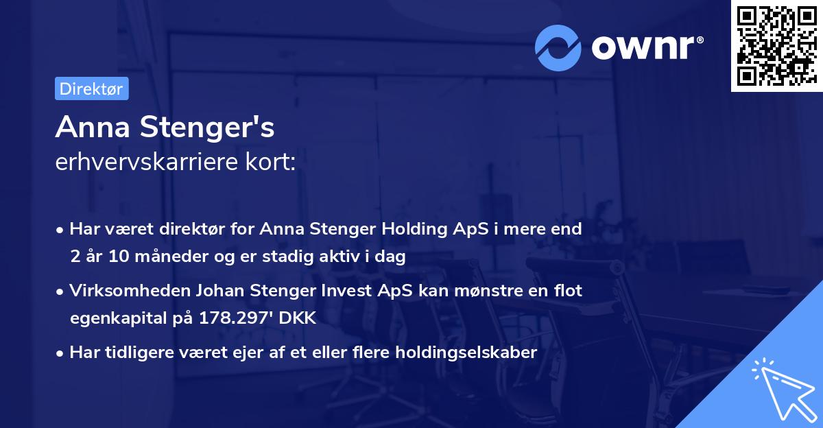 Anna Stenger's erhvervskarriere kort