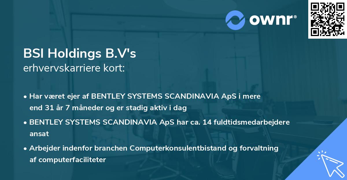 BSI Holdings B.V's erhvervskarriere kort