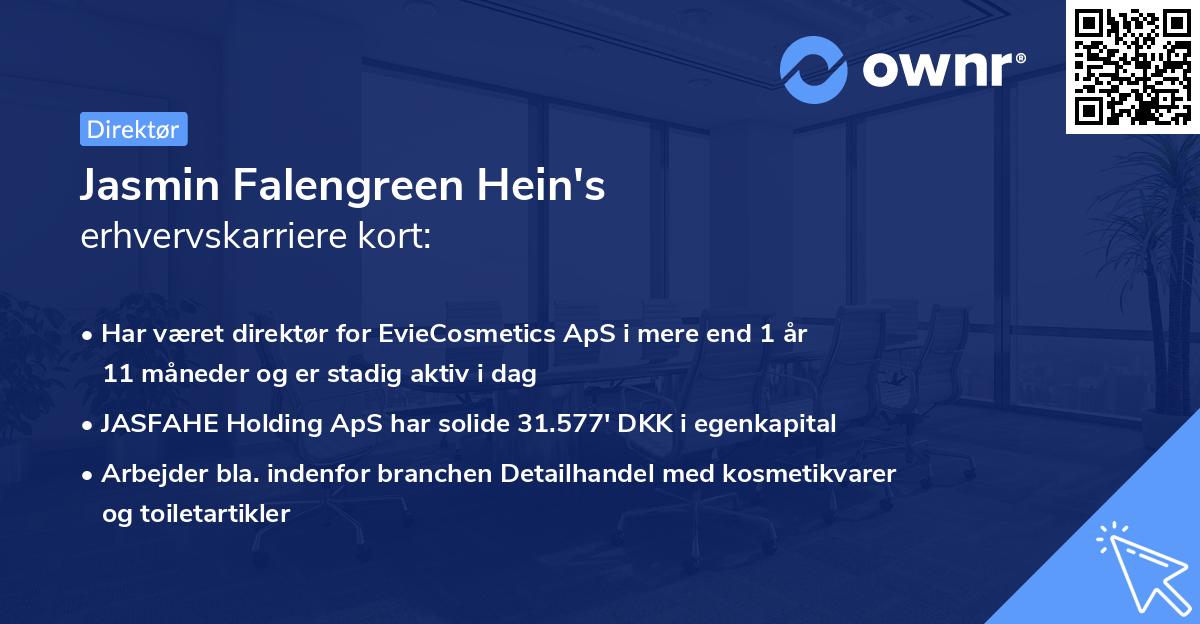 Jasmin Falengreen Hein's erhvervskarriere kort