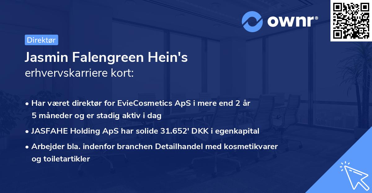 Jasmin Falengreen Hein's erhvervskarriere kort