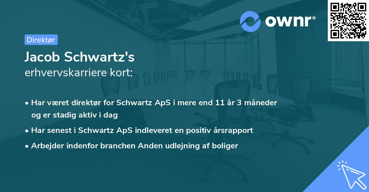 Jacob Schwartz's erhvervskarriere kort