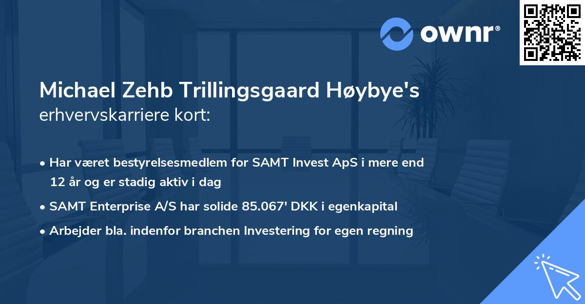 Michael Zehb Trillingsgaard Høybye's erhvervskarriere kort