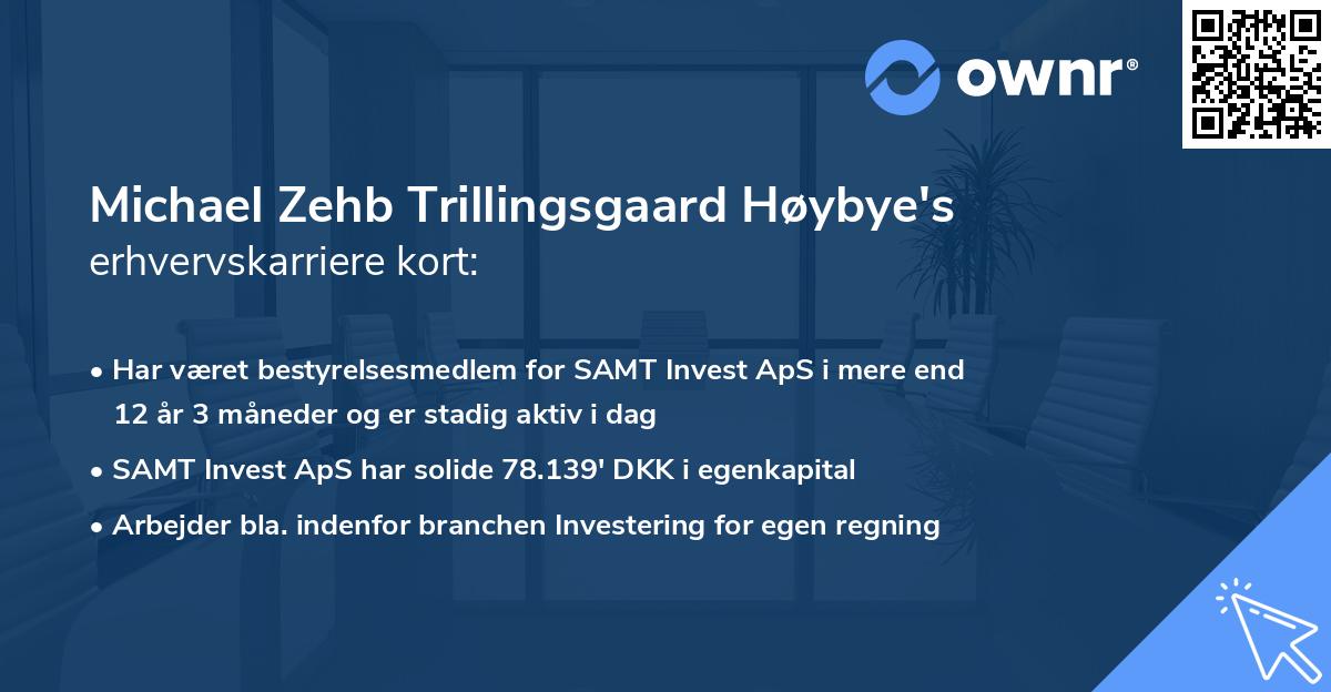 Michael Zehb Trillingsgaard Høybye's erhvervskarriere kort