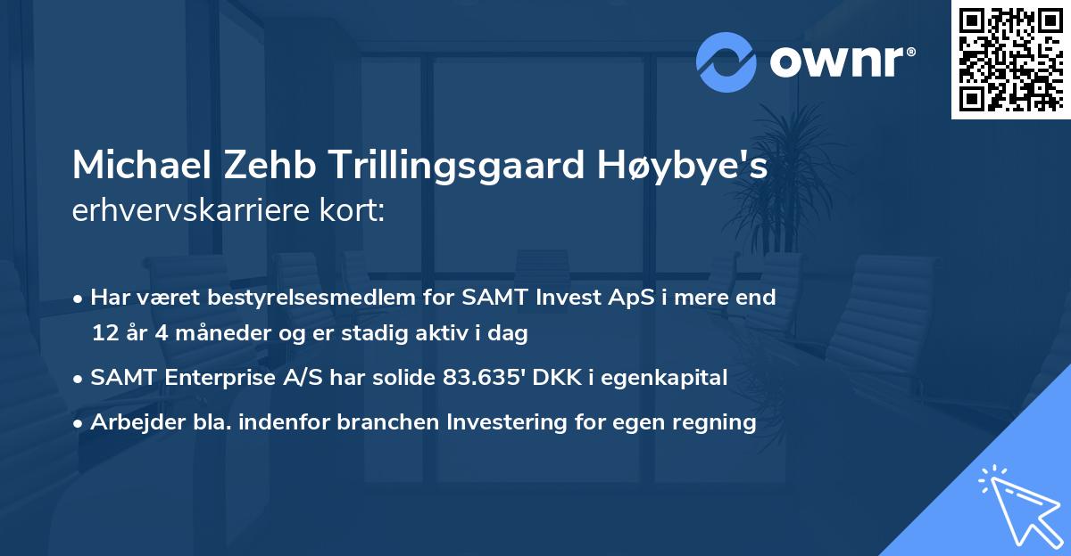 Michael Zehb Trillingsgaard Høybye's erhvervskarriere kort