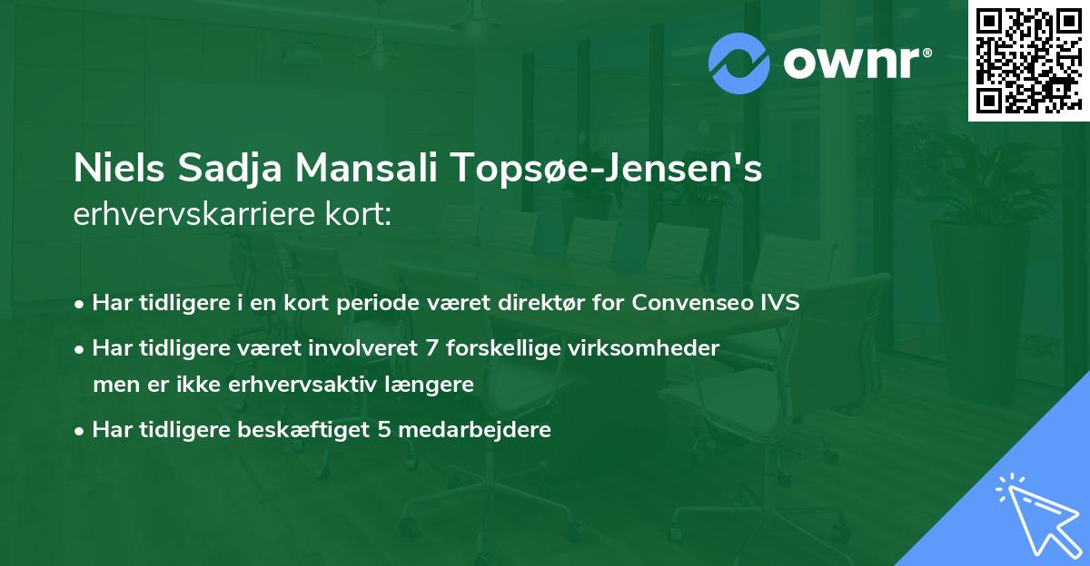 Niels Sadja Mansali Topsøe-Jensen's erhvervskarriere kort