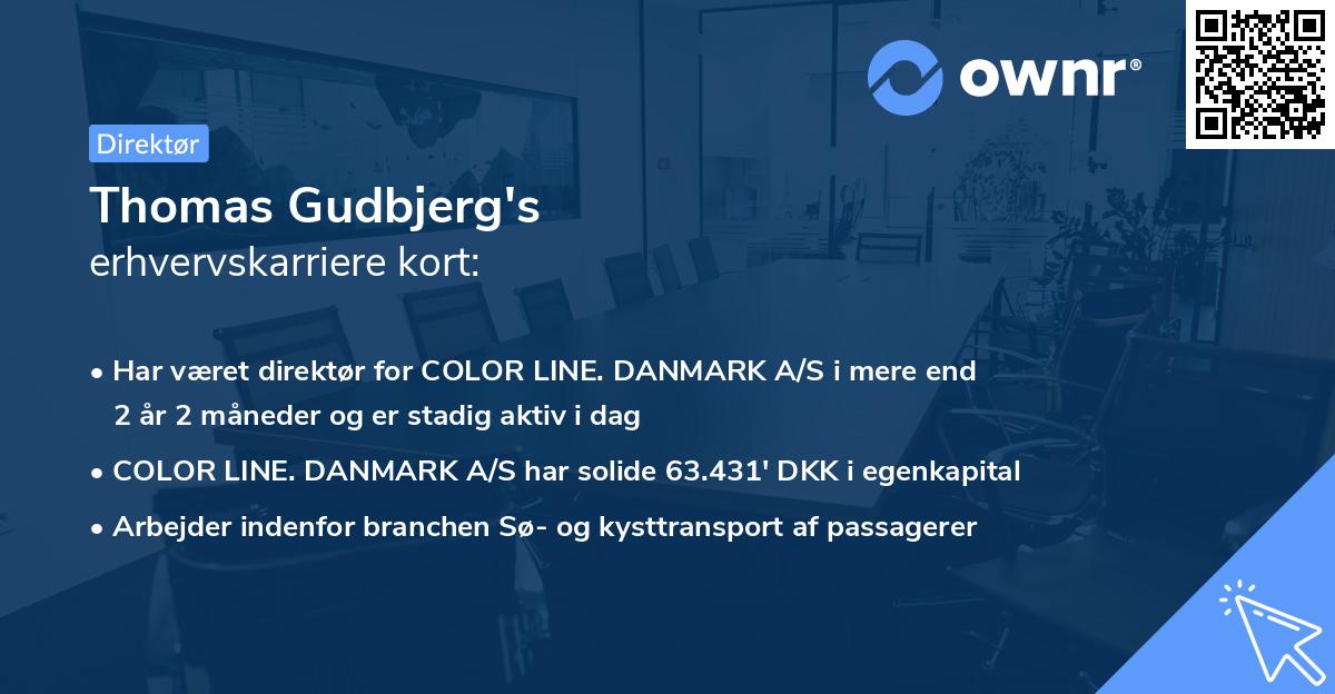 Thomas Gudbjerg's erhvervskarriere kort