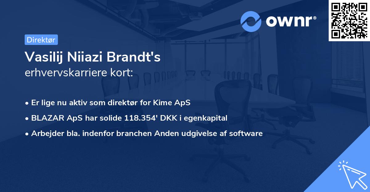 Vasilij Niiazi Brandt's erhvervskarriere kort