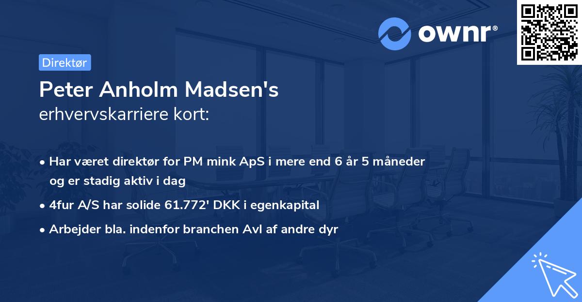 Peter Anholm Madsen's erhvervskarriere kort