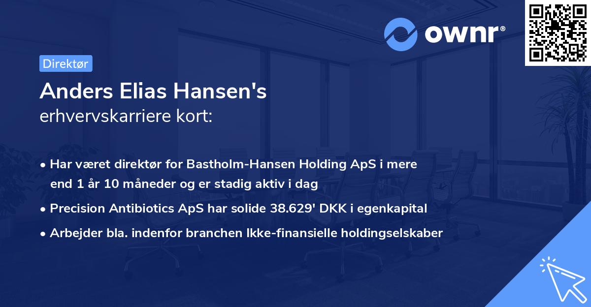 Anders Elias Hansen's erhvervskarriere kort
