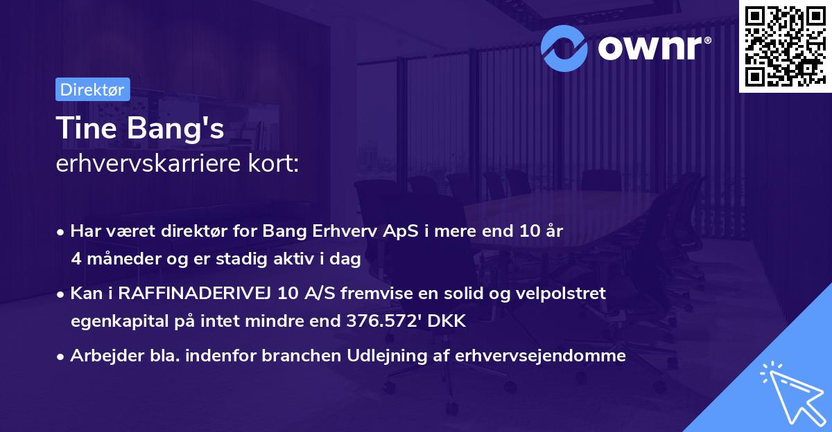 Tine Bang's erhvervskarriere kort