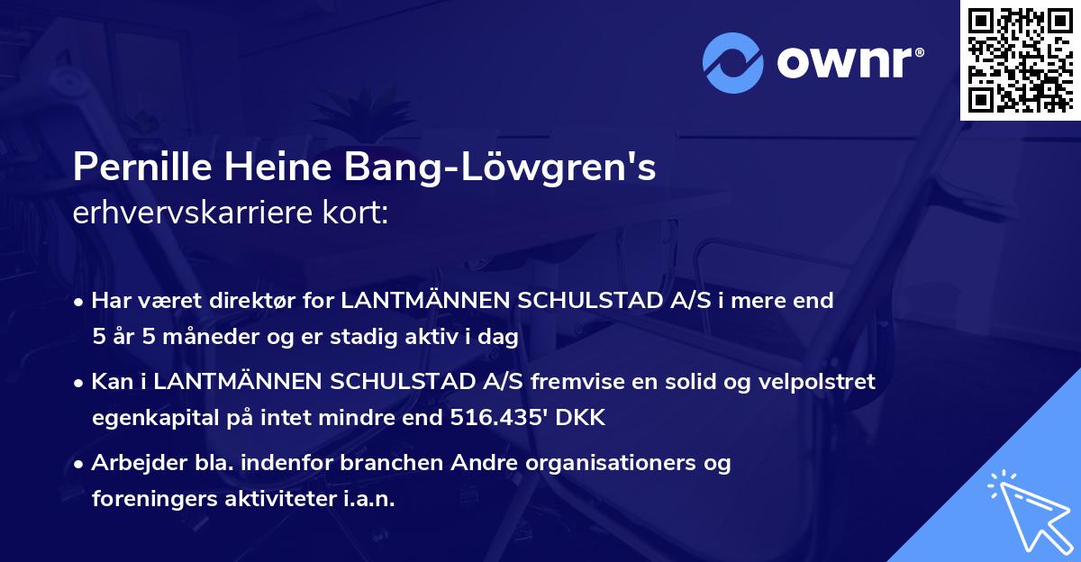 Pernille Heine Bang-Löwgren's erhvervskarriere kort
