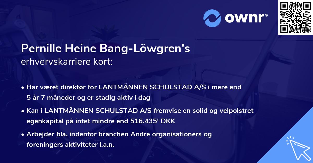 Pernille Heine Bang-Löwgren's erhvervskarriere kort
