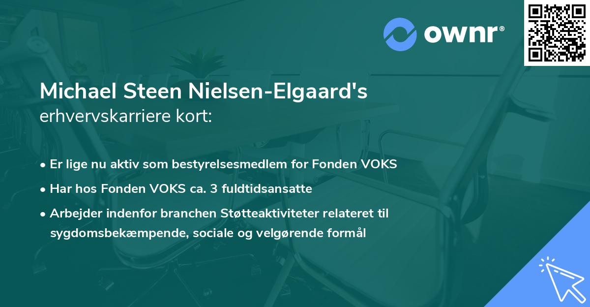 Michael Steen Nielsen-Elgaard's erhvervskarriere kort