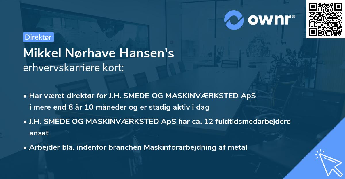 Mikkel Nørhave Hansen's erhvervskarriere kort
