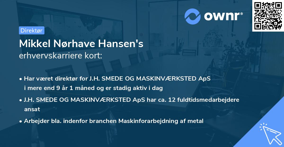 Mikkel Nørhave Hansen's erhvervskarriere kort