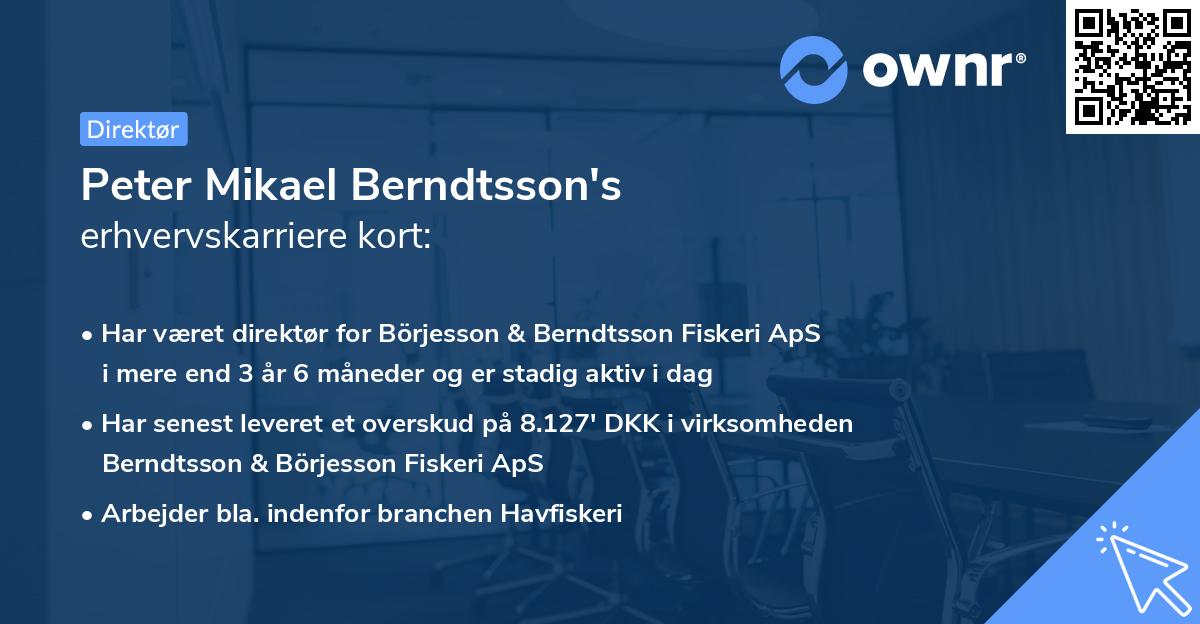 Peter Mikael Berndtsson's erhvervskarriere kort