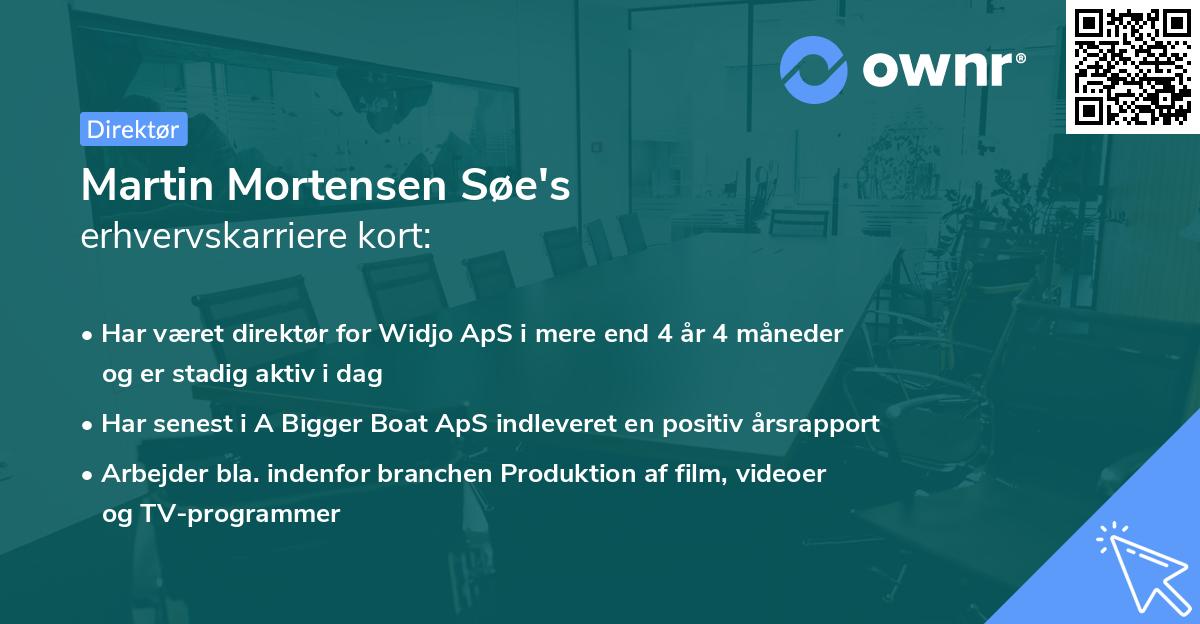 Martin Mortensen Søe's erhvervskarriere kort