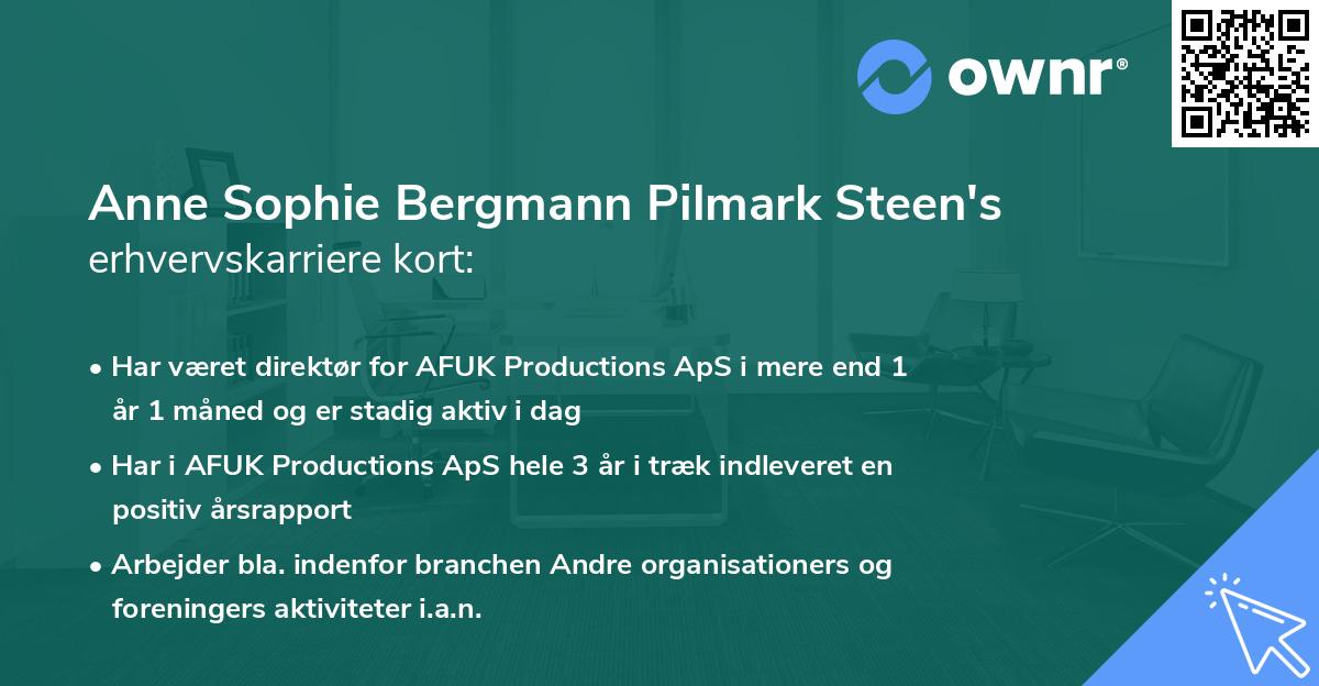 Anne Sophie Bergmann Pilmark Steen's erhvervskarriere kort