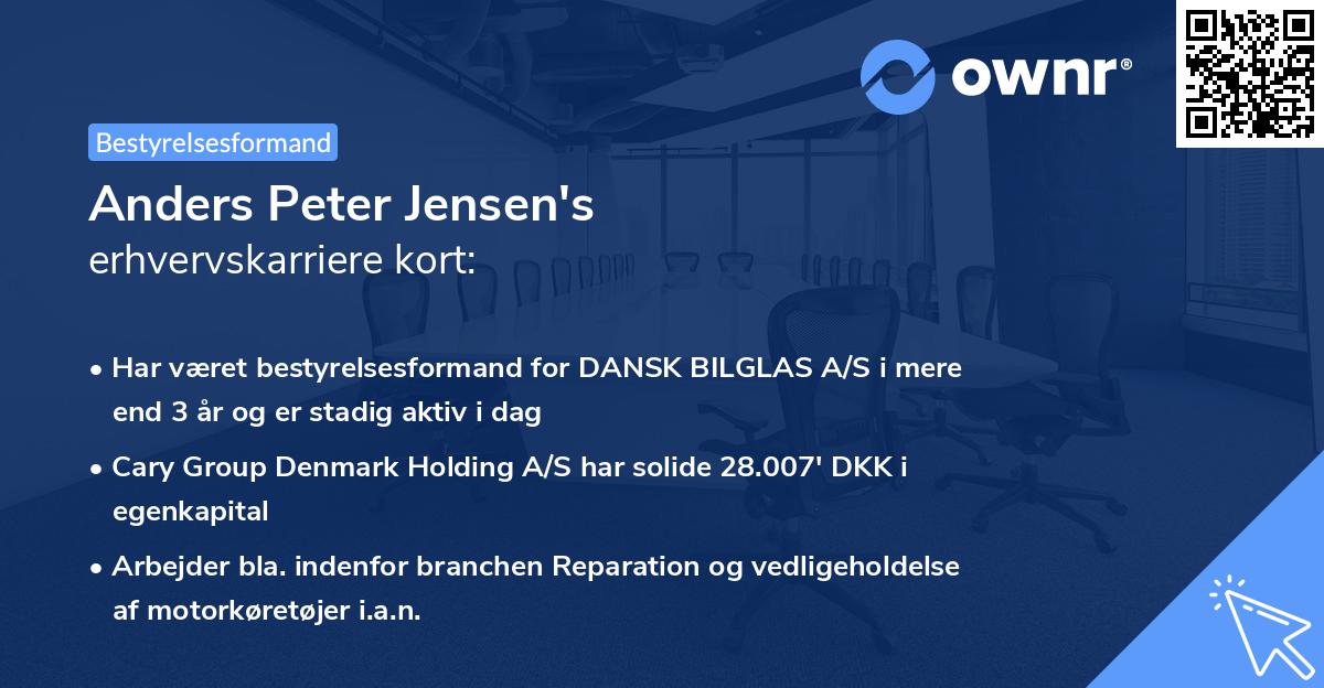 Anders Peter Jensen's erhvervskarriere kort