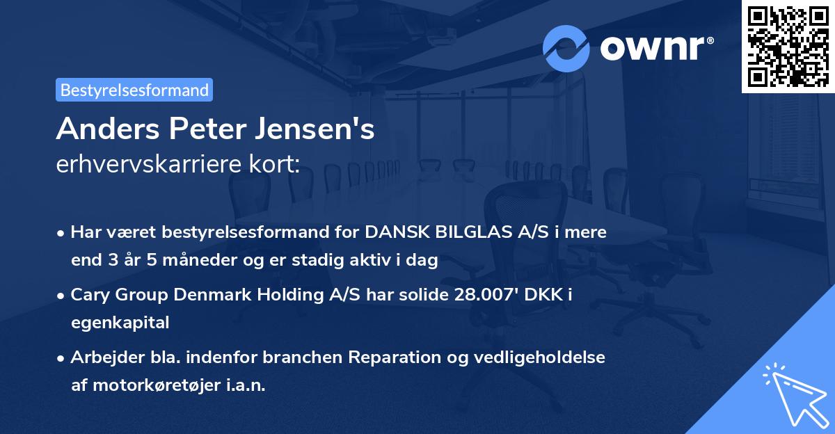 Anders Peter Jensen's erhvervskarriere kort
