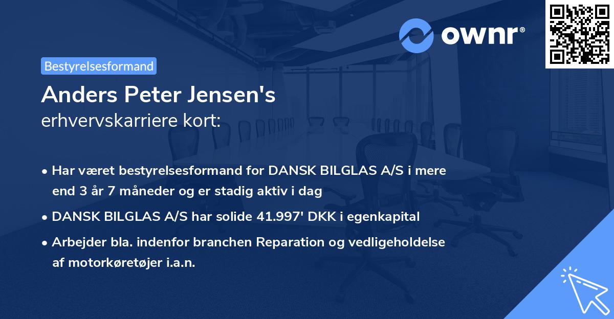 Anders Peter Jensen's erhvervskarriere kort
