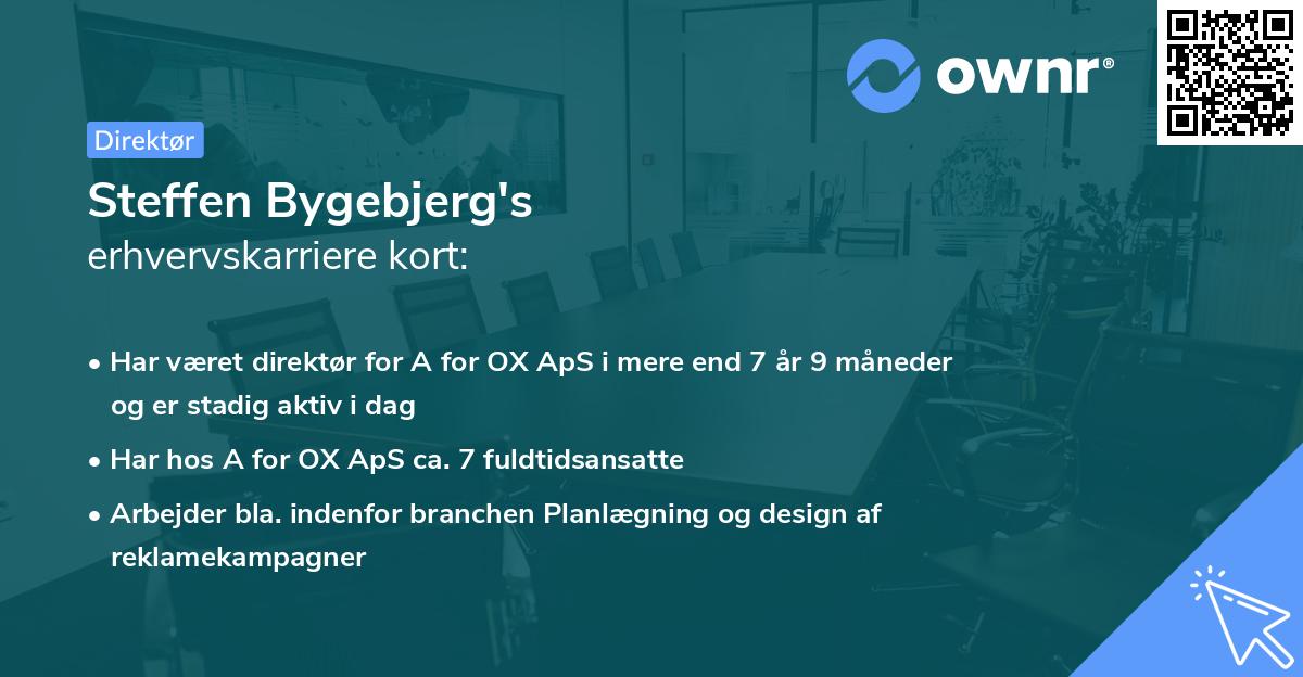 Steffen Bygebjerg's erhvervskarriere kort