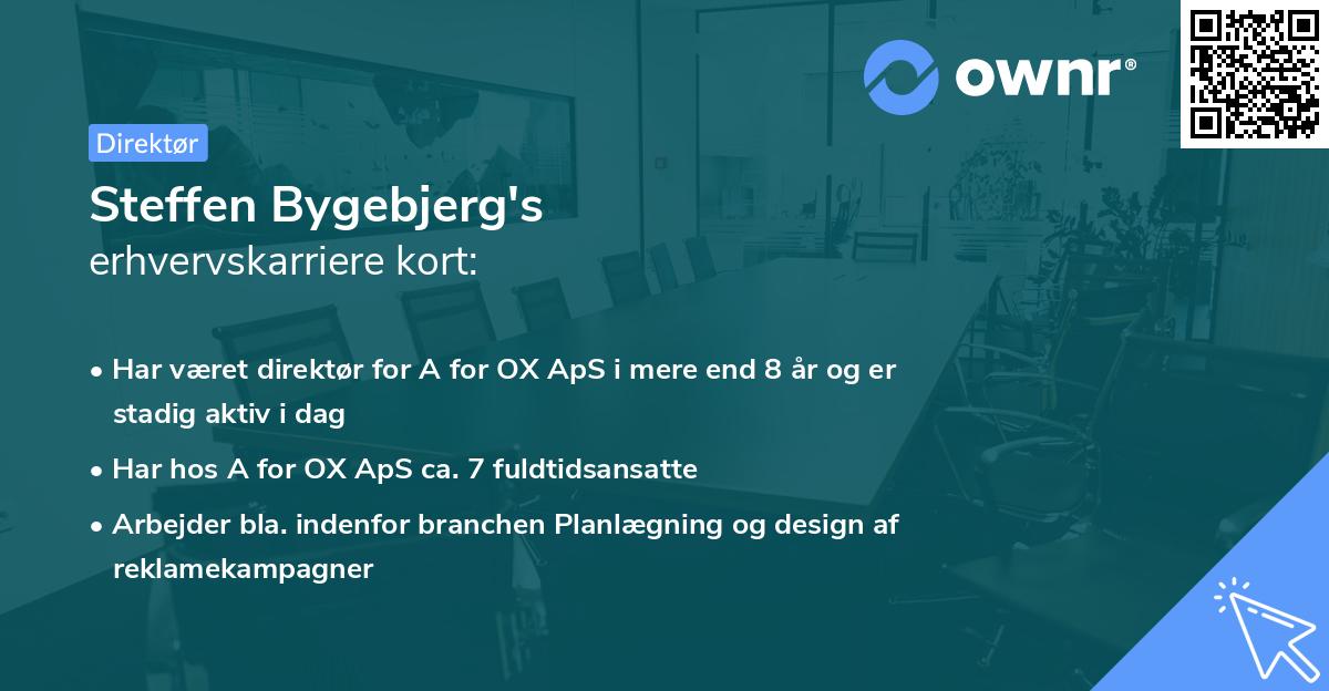 Steffen Bygebjerg's erhvervskarriere kort