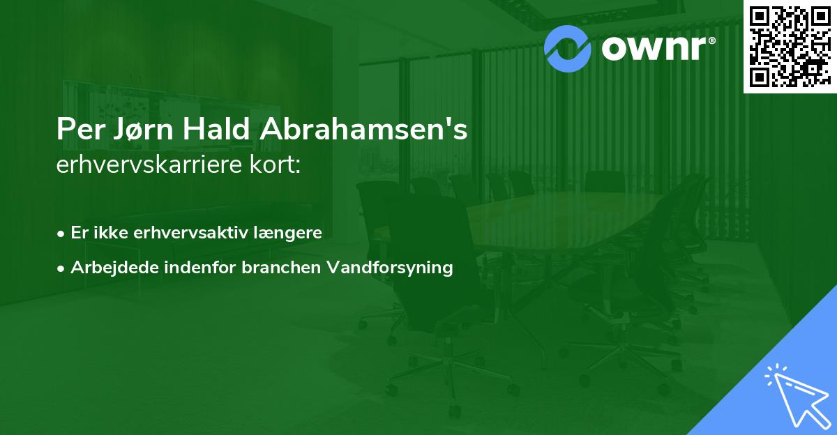 Per Jørn Hald Abrahamsen's erhvervskarriere kort