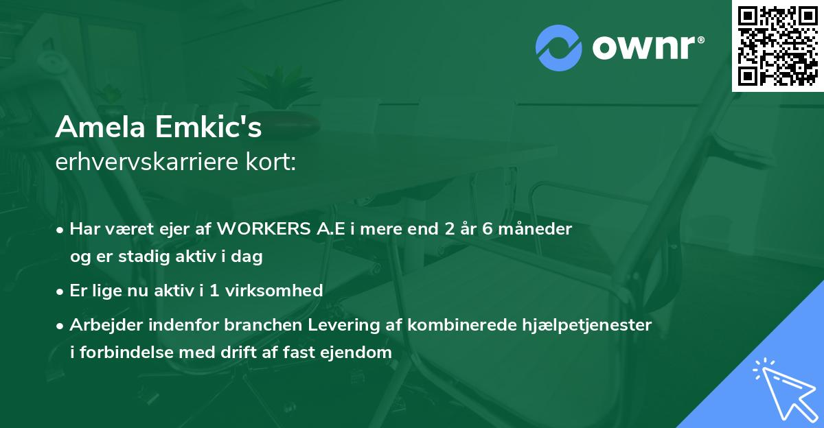 Amela Emkic's erhvervskarriere kort