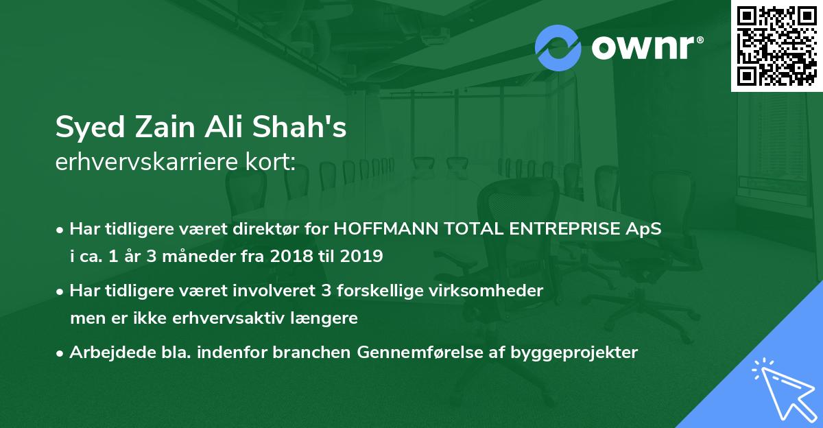 Syed Zain Ali Shah's erhvervskarriere kort