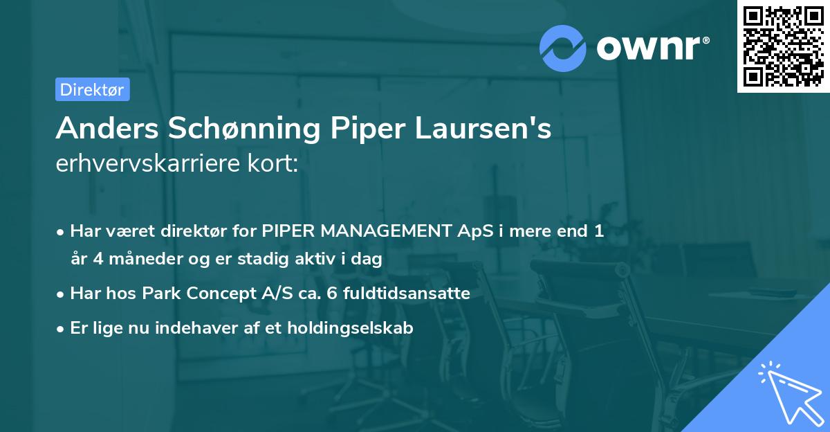 Anders Schønning Piper Laursen's erhvervskarriere kort