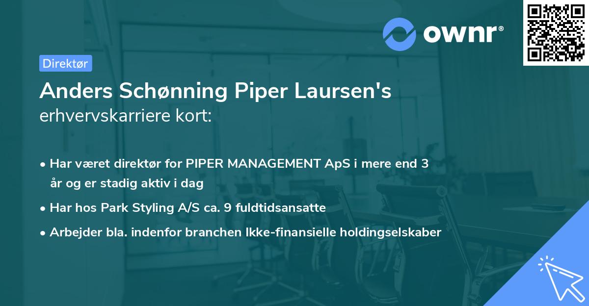 Anders Schønning Piper Laursen's erhvervskarriere kort